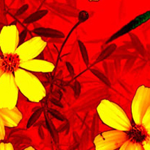 最实惠渠道的在线DDOS压力测试网页端