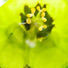 个人免费使用的ddos攻击防御手段